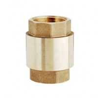 PRODUCT IMAGE: CHECK VALVE