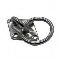 PRODUCT IMAGE: DM EYE PLATE W/RING